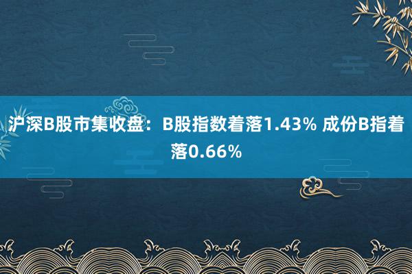沪深B股市集收盘：B股指数着落1.43% 成份B指着落0.66%